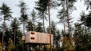 Logeertip in Limburg: proef van de natuur in de Hoge Kempen