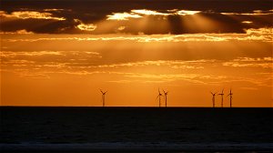 Offshore windenergie: energiereuzen slaan de handen in elkaar voor projecten in India