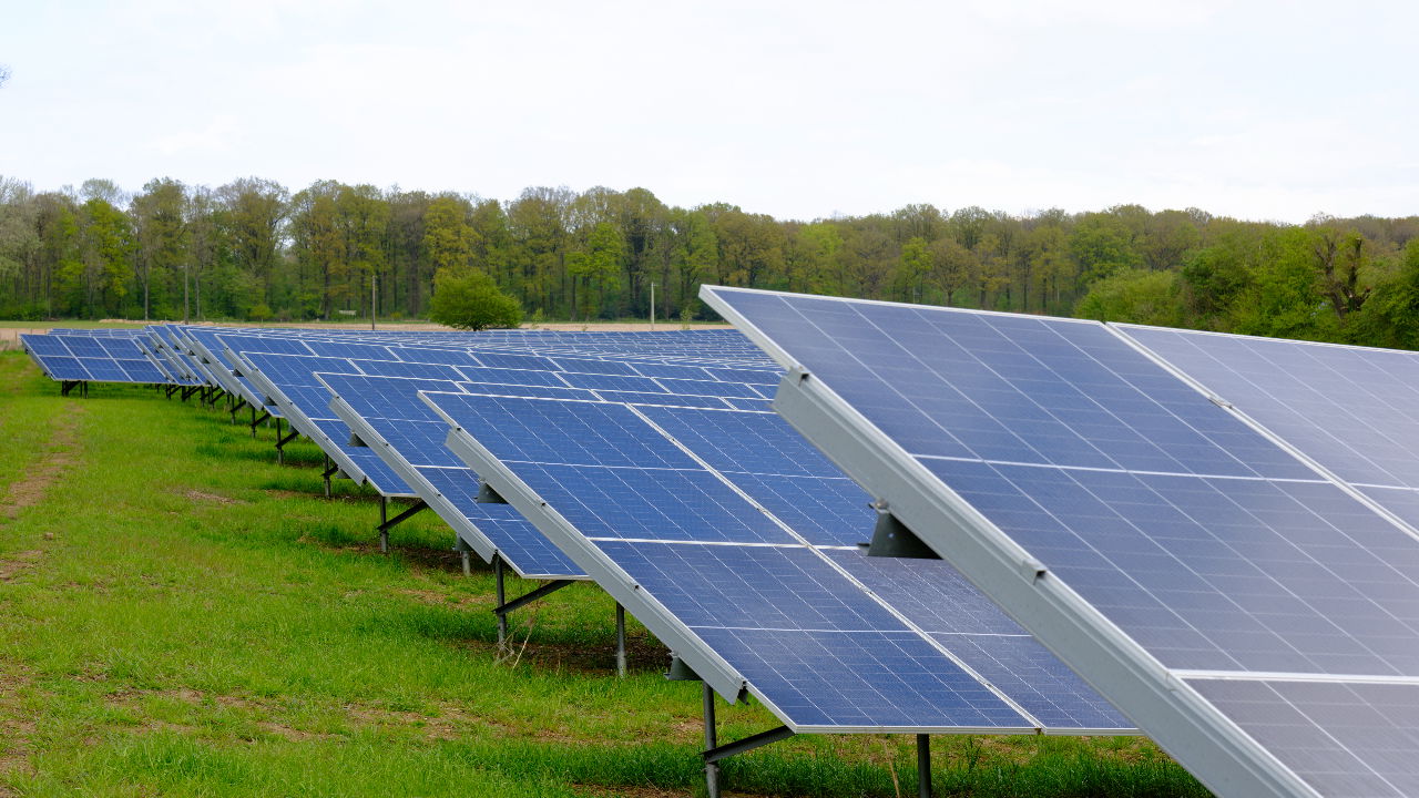 België produceerde nog nooit zoveel zonne-energie; kernenergie daalt fors -  Business AM